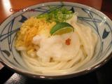 おろし醤油うどん