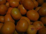 秋穂みかん
