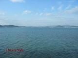 花水木から見た海