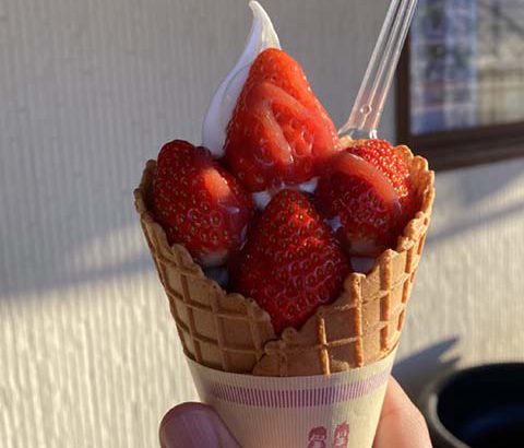 あさむら いちご園