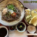 徳地そば茶屋 雅（みやび）