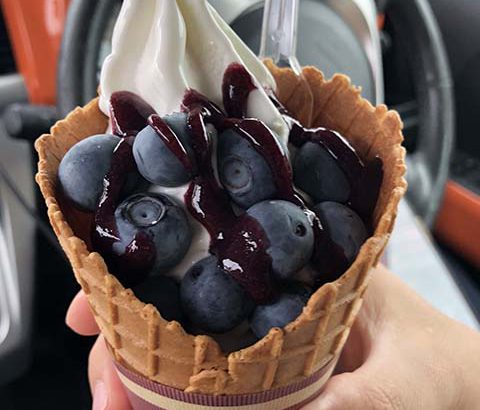あさむらいちご園